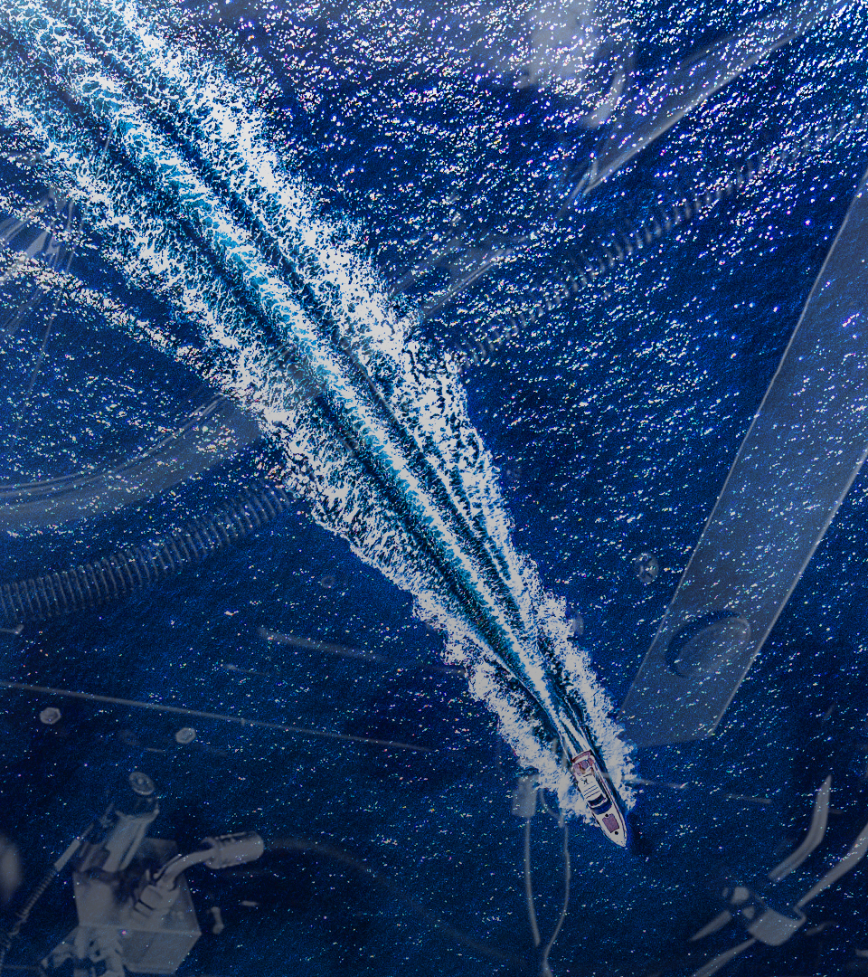 Foto Applicazione Marine ZOOM
